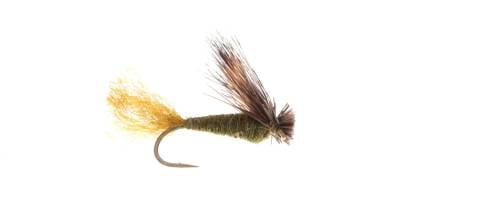 X Caddis - Olive 6 Pack CLOSEOUT